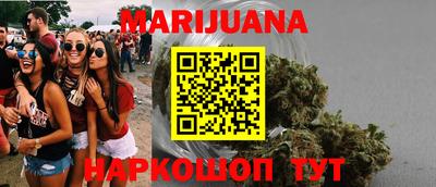индика Лесосибирск