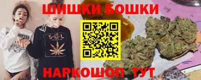 индика Лесосибирск