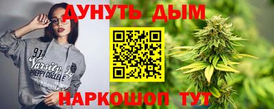 индика Лесосибирск