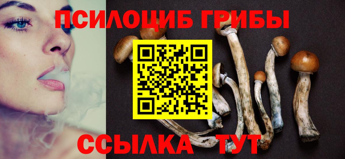 Галлюциногенные грибы мицелий Кондопога