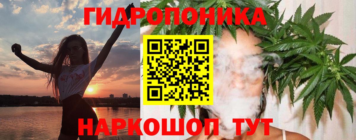Марихуана планчик Кондопога